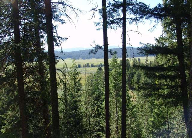 Property at L1 B2 San Ignacio Way #1, Cascade, ID 83611