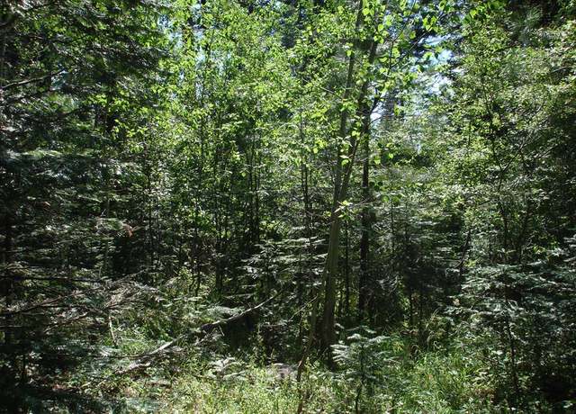 Property at Lot 2 Majestic View Dr #2, Mccall, ID 83638
