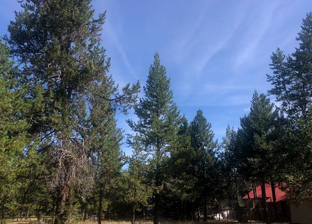 Property at 174 Marion Ln #54, Donnelly, ID 83615
