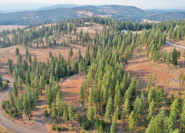 Property at TBD Tamarack View Dr, New Meadows, ID 83654