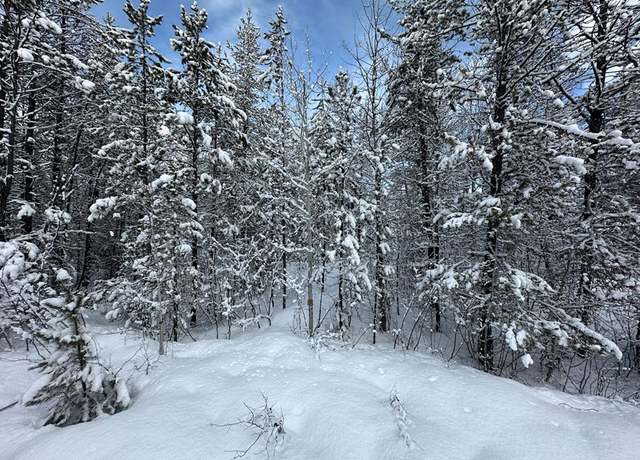 Property at 200 Angus Ln #5, Donnelly, ID 83615