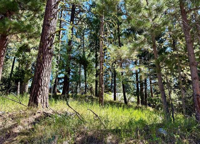 Property at 699 N Samson Trl #5, Mccall, ID 83638