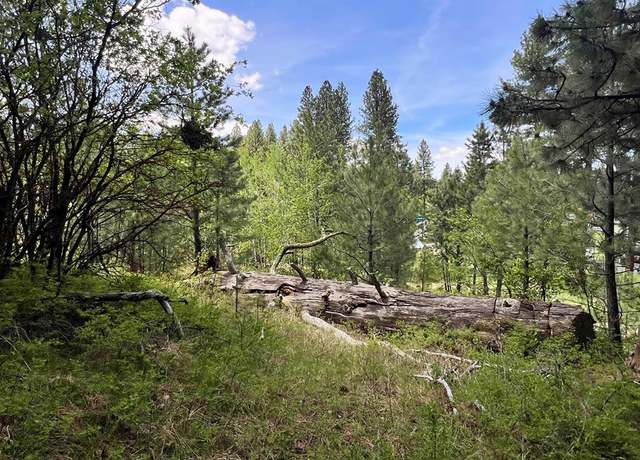 Property at T75 LI Cabarton Rd Unit Part I, Cascade, ID 83611