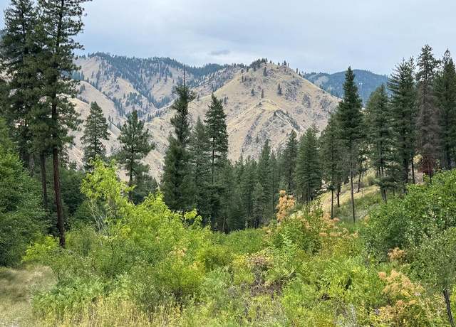 Property at 0 Salmon River Rd, Riggins, ID 83549