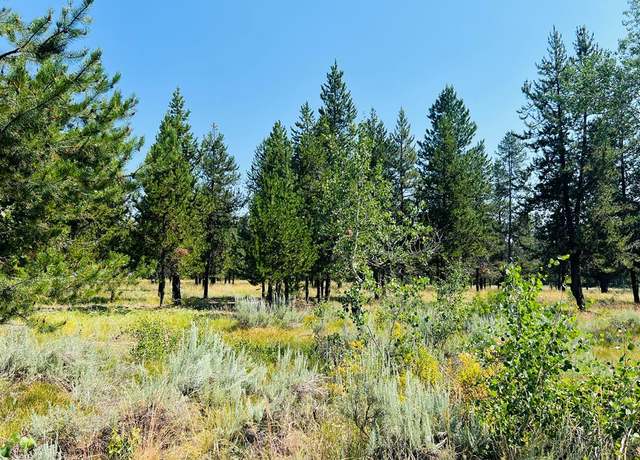 Property at Lot #6 Coy Rd, Mccall, ID 83638