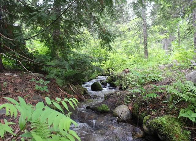 Property at 443 David Creek Rd #85, Cascade, ID 83611