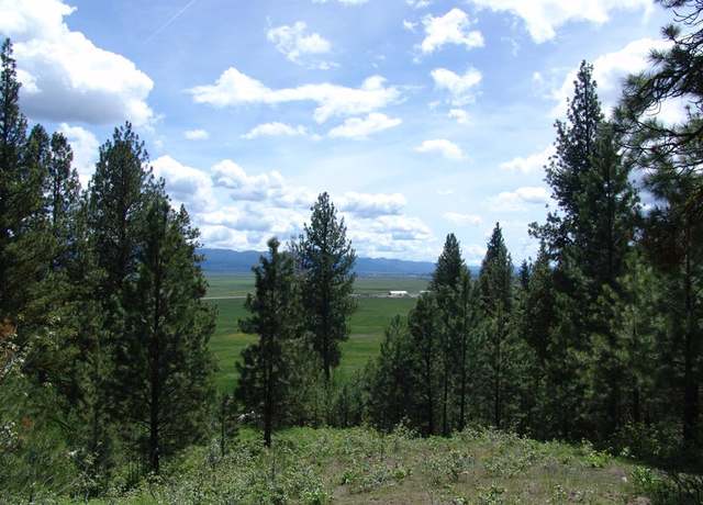 Property at 28 Rehn Loop #2, Cascade, ID 83611