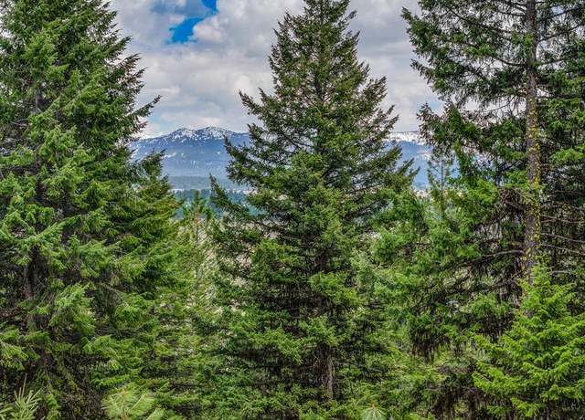 Property at 5541 Lupine Ln #119, Mccall, ID 83638