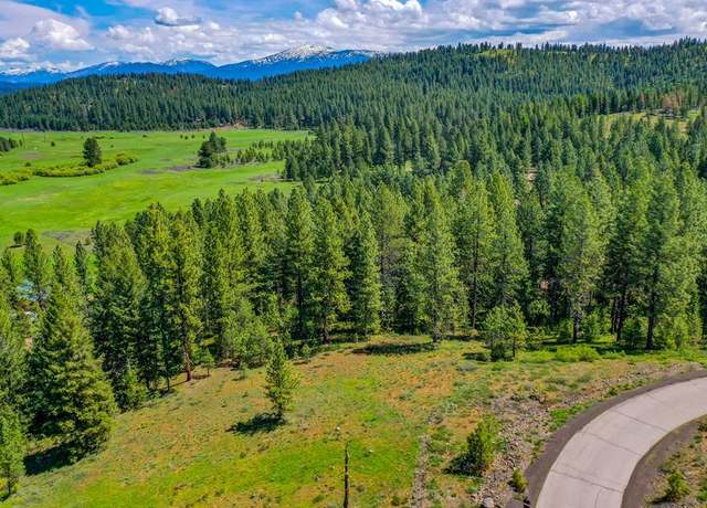Property at TBD Tamarack View Dr #19, New Meadows, ID 83654