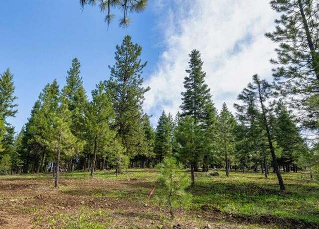Property at Lot 2 To Be Determined #2, Mccall, ID 83638