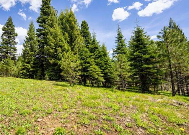 Property at Lot 6 To Be Determined #6, Mccall, ID 83638
