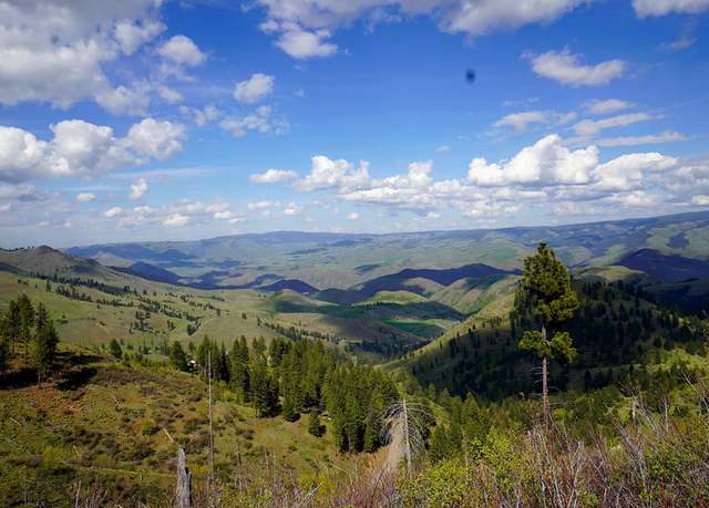 Property at 1614 Deer Creek Rd, White Bird, ID 83554