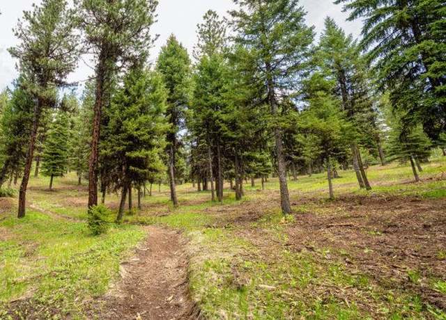 Property at Lot 8 To Be Determined #8, Mccall, ID 83638