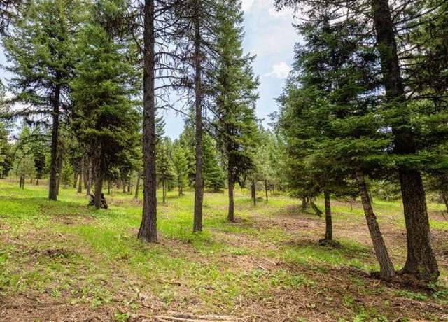 Property at Lot 9 To Be Determined #9, Mccall, ID 83638