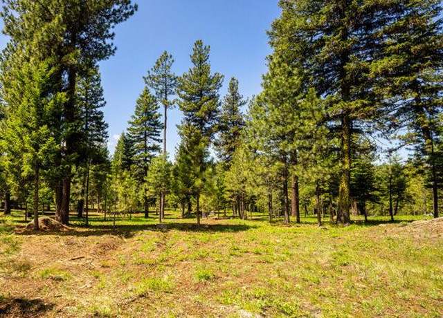 Property at Lot 13 To Be Determined #13, Mccall, ID 83638