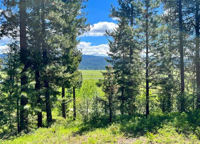Property at L3 B2 Rehn Loop #3, Cascade, ID 83611