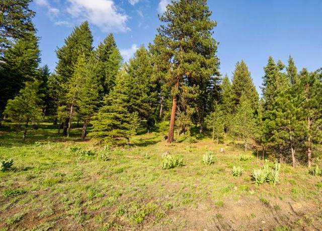 Property at Lot 16 To Be Determined #16, Mccall, ID 83638