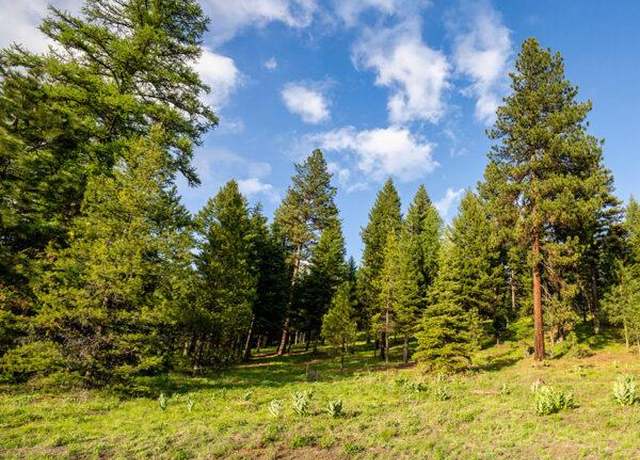 Property at Lot 17 To Be Determined #17, Mccall, ID 83638