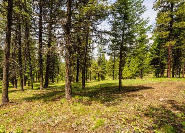 Property at Lot 20 To Be Determined #20, Mccall, ID 83638