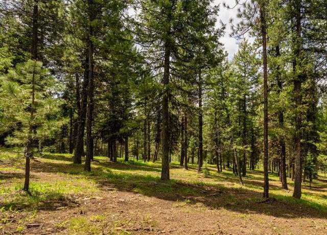 Property at Lot 21 To Be Determined #21, Mccall, ID 83638