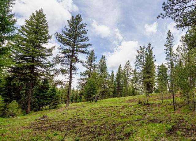 Property at Lot 23 To Be Determined #23, Mccall, ID 83638