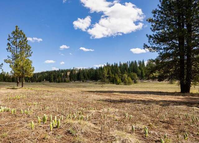 Property at Lot 32 To Be Determined #32, Mccall, ID 83638