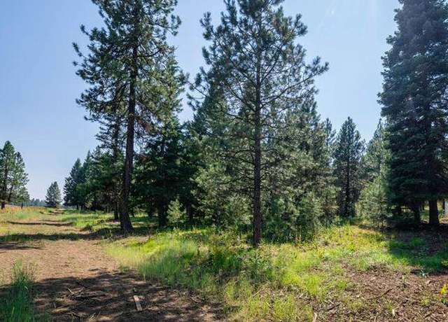 Property at Lot 33 To Be Determined #33, Mccall, ID 83638