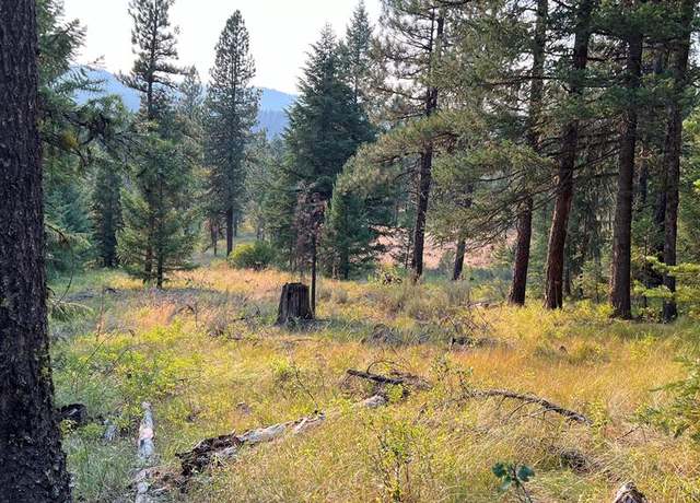 Property at TBD Tamarack View Dr, New Meadows, ID 83654