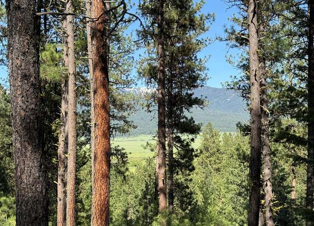Property at 3951 Hot Springs Rd #2, New Meadows, ID 83654