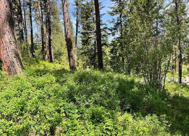 Property at Lot 23 Hot Springs Rd #23, New Meadows, ID 83654