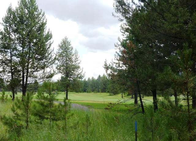 Property at 430 Wilhelm Creek Ct #80, Mccall, ID 83638