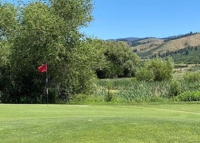 Property at TBD Fairway Dr #7, Council, ID 83612