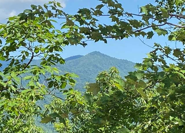 Property at 1621 Granny Squirrel Dr, Andrews, NC 28901