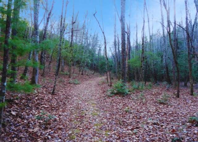 Property at LT 23 Shelton Springs S/d #23, Hayesville, NC 28904