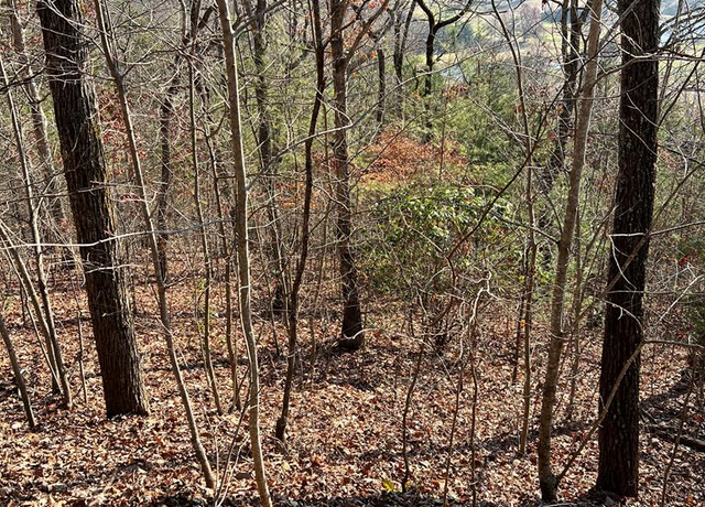 Property at Lot 56C Indian Trl Unit 56C, Hayesville, NC 28904