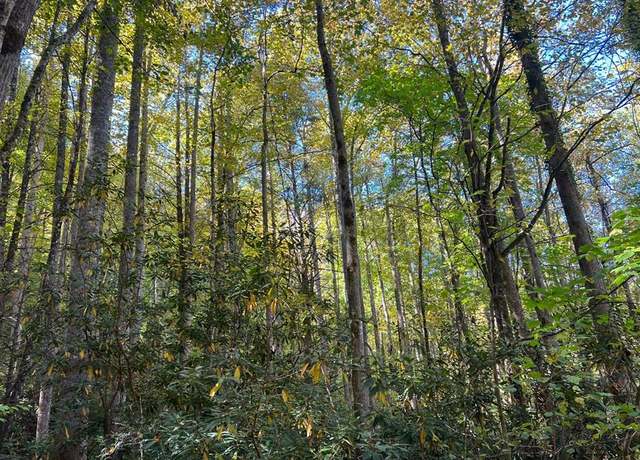 Property at Tract 1 Tusquittee Rd Unit Tr 1, Hayesville, NC 28904