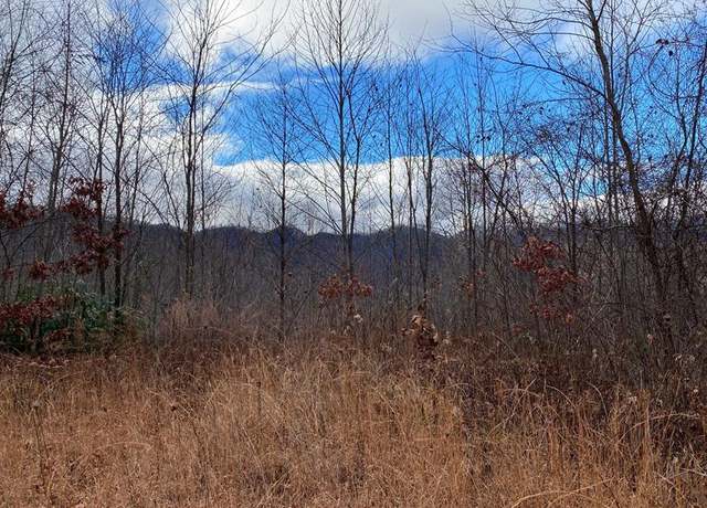 Property at Lot G5 Georgianna Ln Unit G5, Bryson City, NC 28713