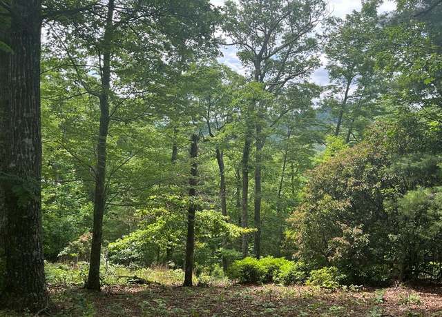 Property at lot 40 Burger Rd #40, Murphy, NC 28906