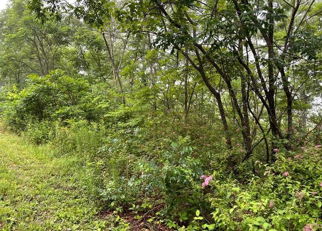 Property at Lot 7 Trillium Hts #7, Brasstown, NC 28902
