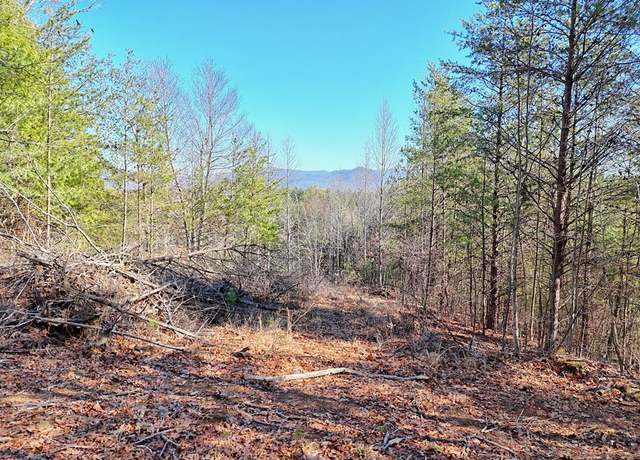 Property at 125 Milk & Honey Dr, Murphy, NC 28906
