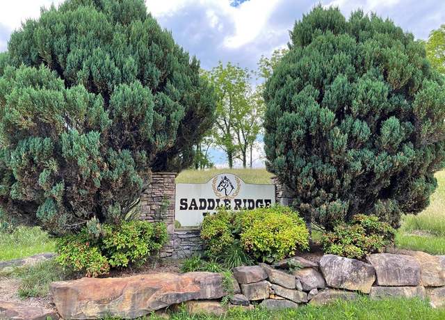 Property at 14B Saddle Ridge Farms Unit 14B, Warne, NC 28909