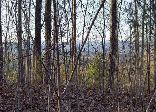 Property at 00 Dasali Way #43, Murphy, NC 28906