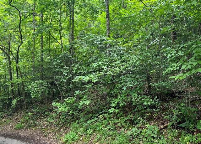 Property at LOT 12 Kilpatrick Point Ter #12, Hayesville, NC 28904