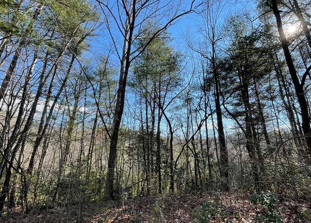 Property at Lot 42 Granite Drive-fires Creek Cv #42, Hayesville, NC 28904