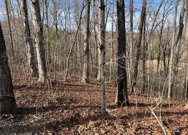 Property at Lot 77A Licklog Rdg Unit 77A, Hayesville, NC 28904