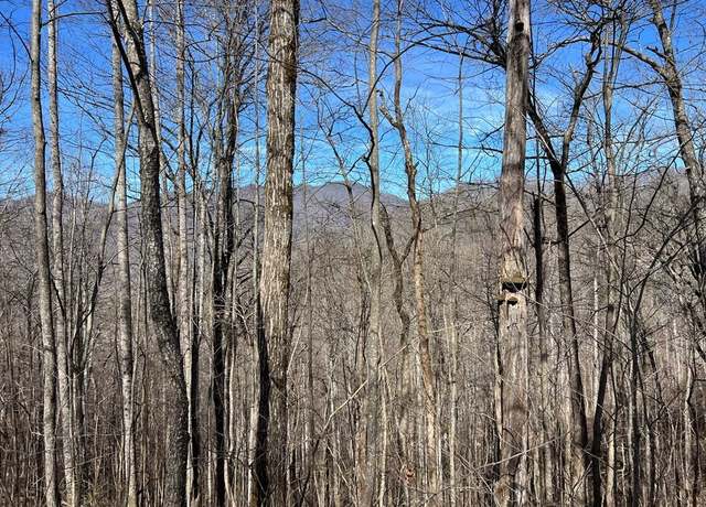 Property at Lot 15 Bear Trail, Roaring Rdg #15, Hiawassee, GA 30546