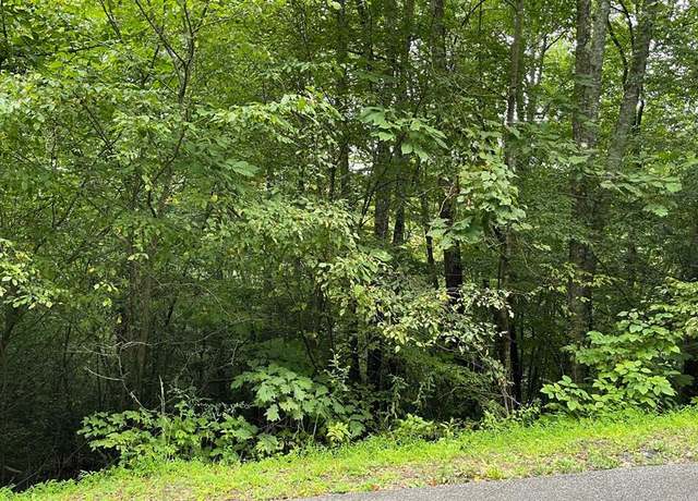 Property at Lot 7 Bear Trl #7, Hiawassee, GA 30546