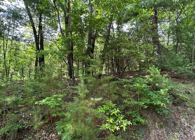 Property at Lot 31 Peak Trl #31, Murphy, NC 28906