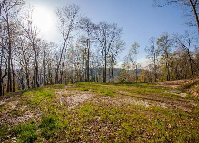 Property at 650 Walnut Cove Br #19, Robbinsville, NC 28771