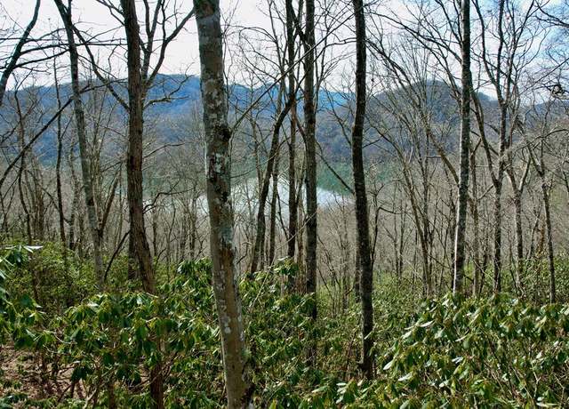 Property at Lot 13 Holly Ridge Rd #13, Nantahala, NC 28781